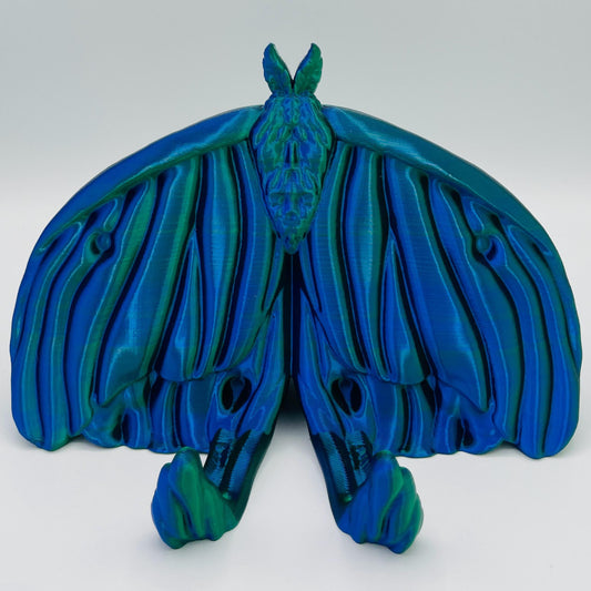 Detaillierte Frontansicht 3D-gedruckte Halterung für Bücher und E-Reader in Form eines Actias Luna Nachfalters in Blau-Grün
