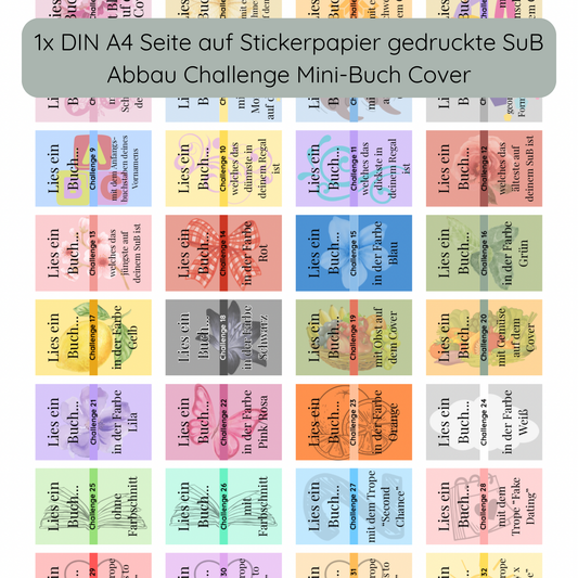 SuB Abbau Challenge OHNE Automat